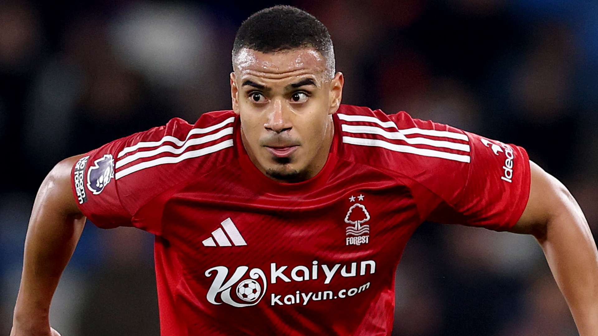 在引进外援 在引进外援