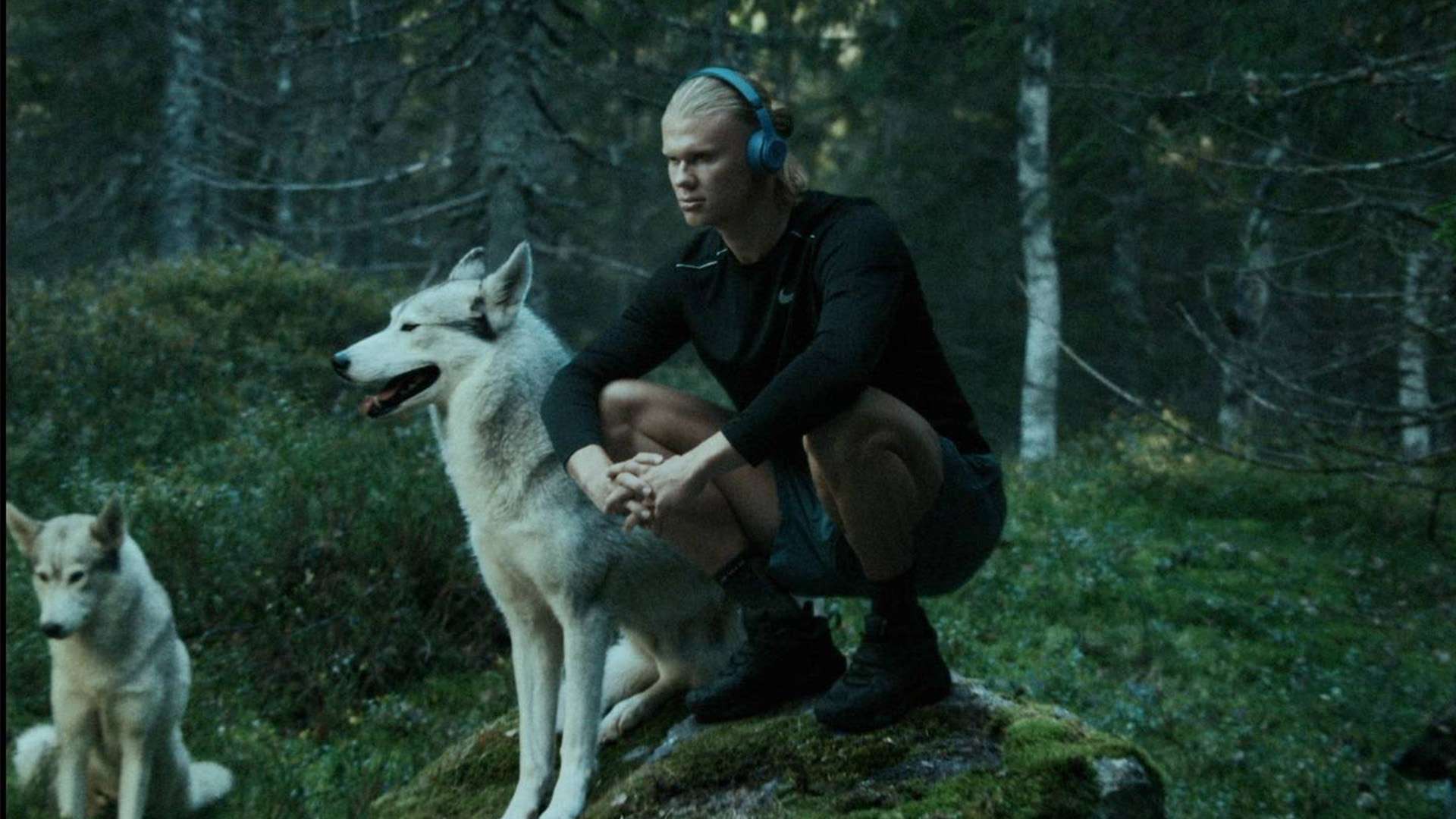 过去的名字 过去的名字